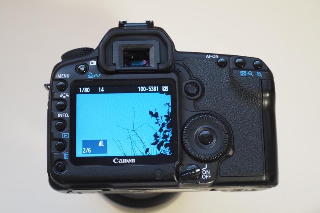 【カメラ】EOS5D Mark II &EF24-105 F4 L IS セット