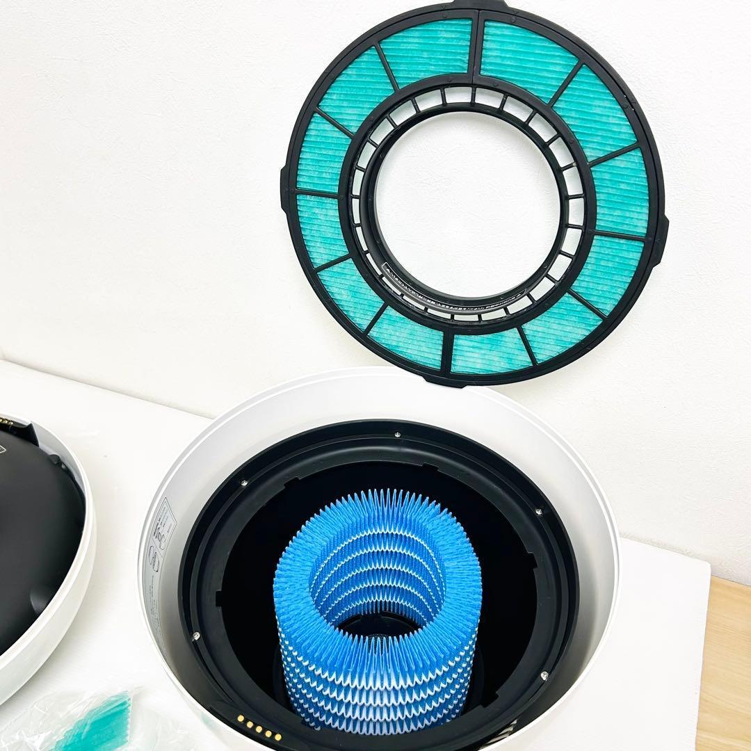 フィルター新品 バルミューダ 加湿器 Rain ERN-1000SD-WK