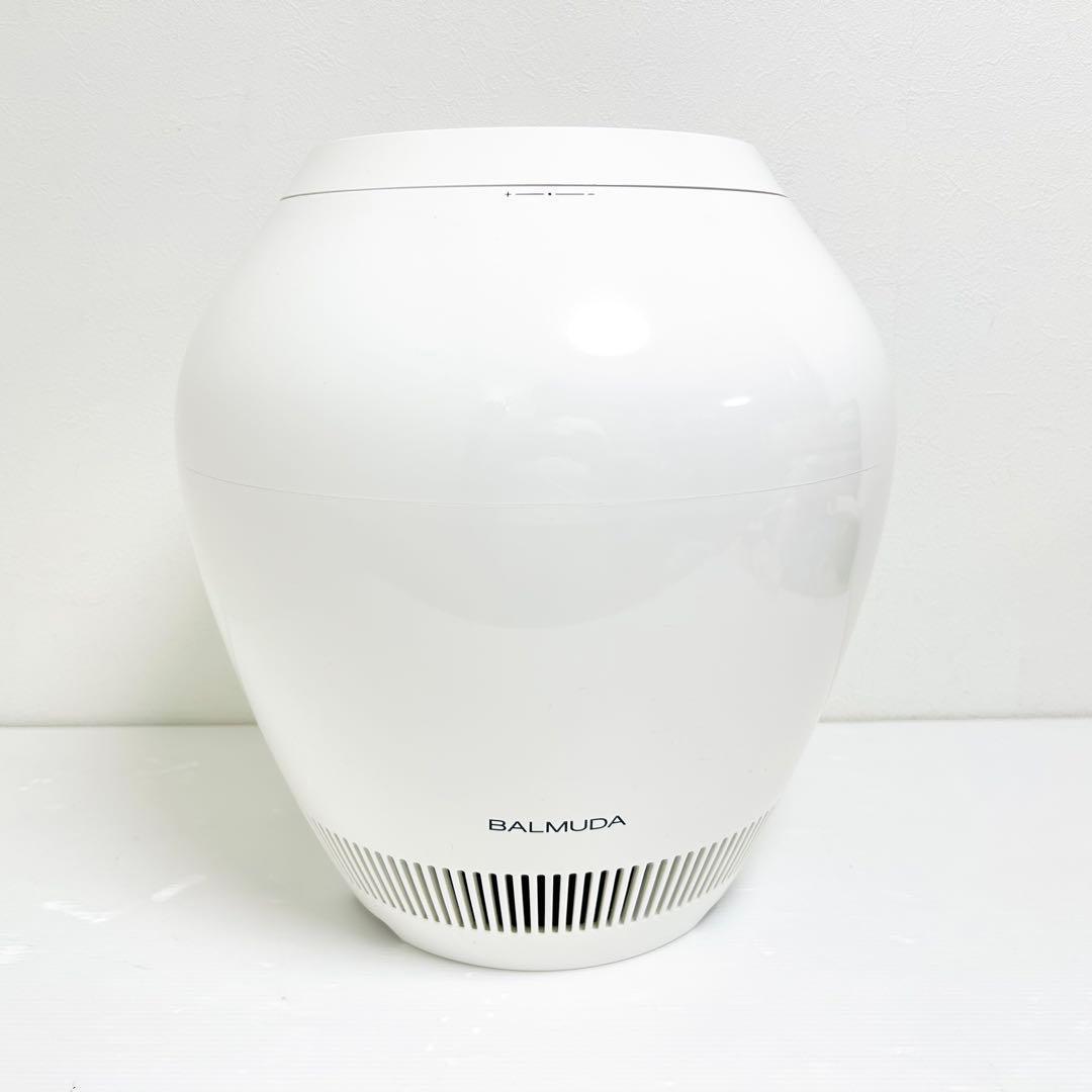 フィルター新品 バルミューダ 加湿器 Rain ERN-1000SD-WK