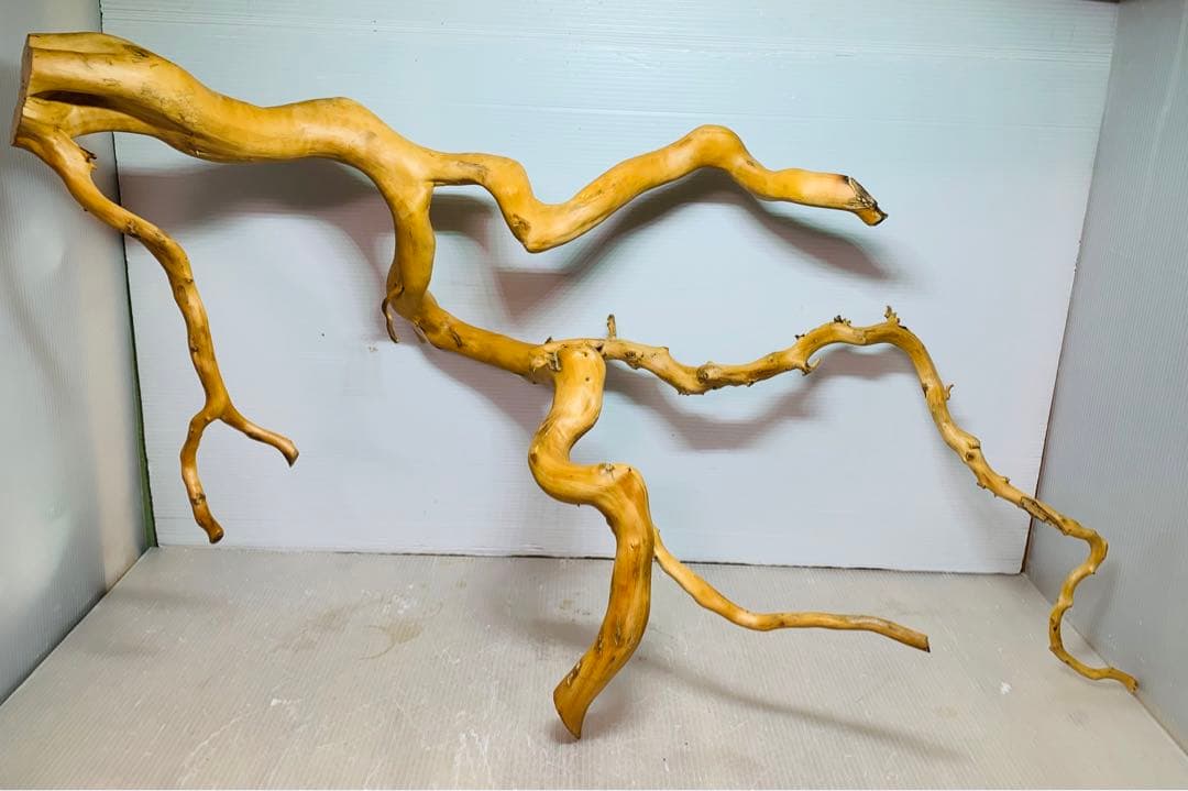 水槽用流木レイアウト　水槽。流木　。水生植物。流木 アクアリウム 盆栽流木