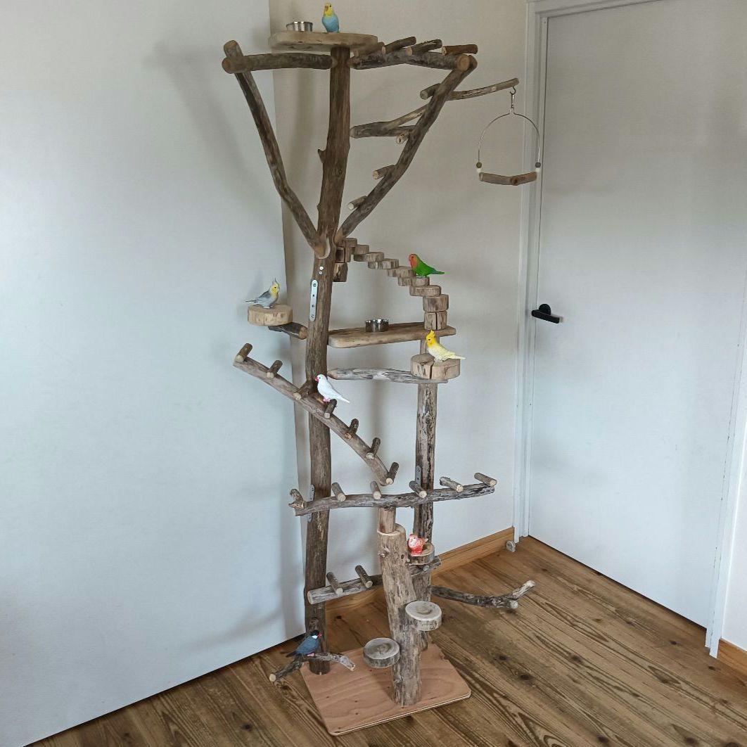 バードアスレチックジム大型 ① 天然木 自然木 流木 インコ おもちゃ