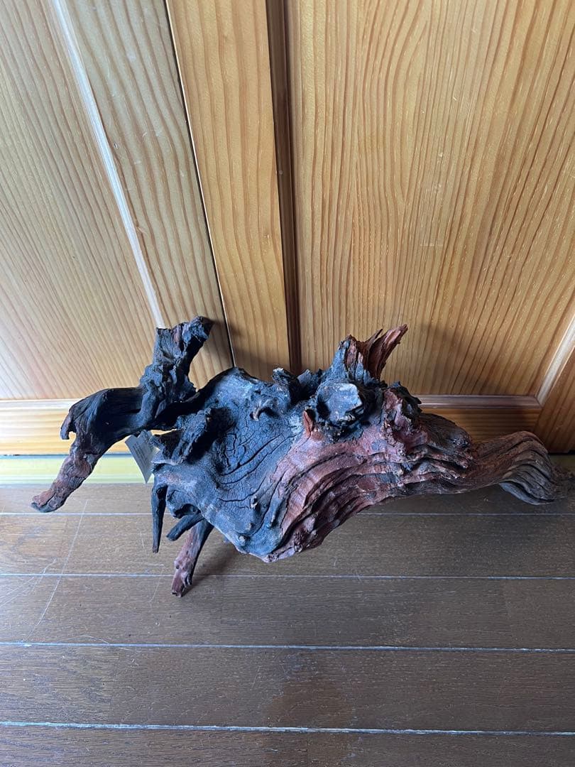 ADA ホーンウッド　HORN WOOD LL