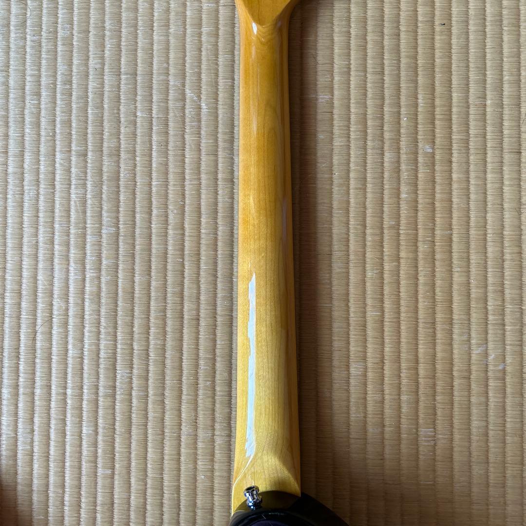 Fernandes ZO-3ST 芸達者 アンプ内蔵ギター