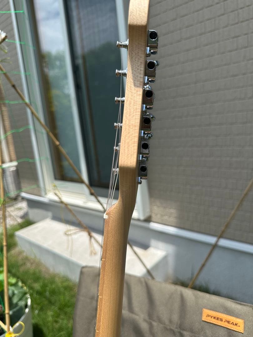 fujigen フジゲン　ストラトキャスター JST6M BK