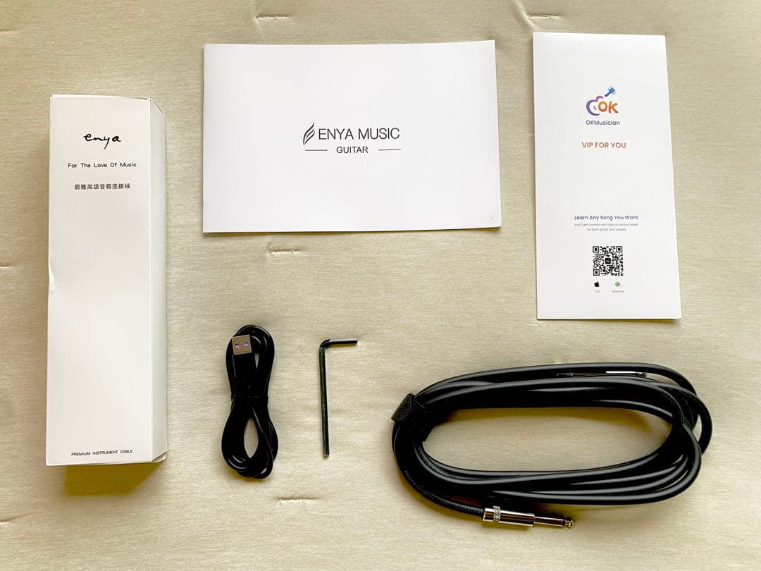 【超美品】Enya/エンヤ X3 Pro Mini カーボンギター