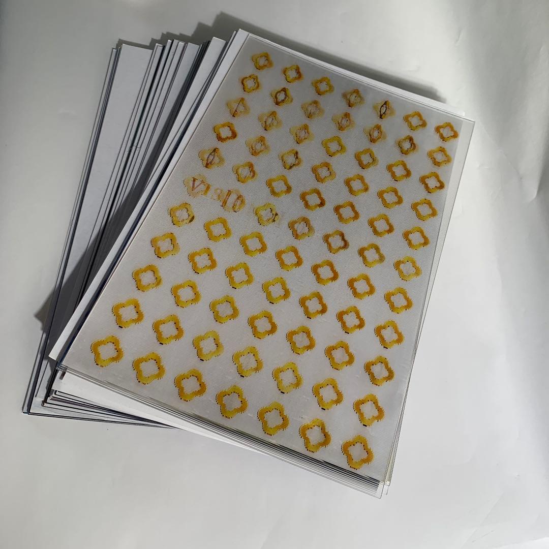 芸術写真 VISIONAIRE 48 MAGIC Van Cleef & Arpels