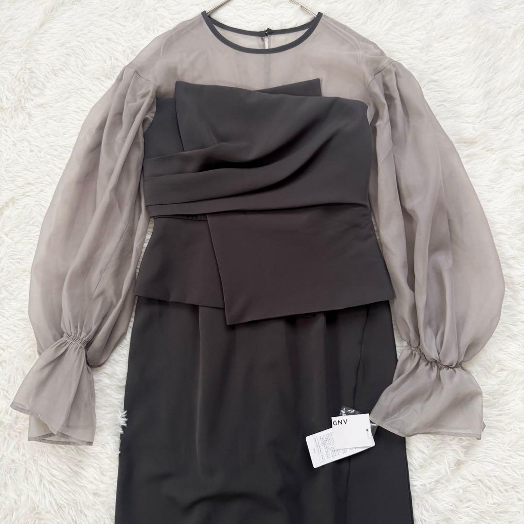 タグ付✨ ANDRESD キャンディスリーブ ビスチェ ワンピース オーガンジー