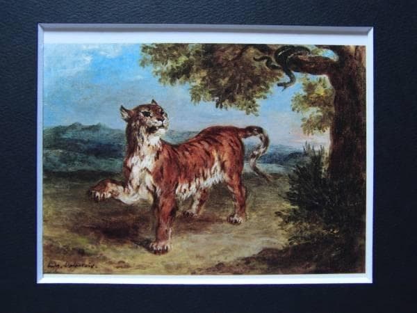 Delacroix、TIGRE ET SERPENT、海外版超希少レゾネ