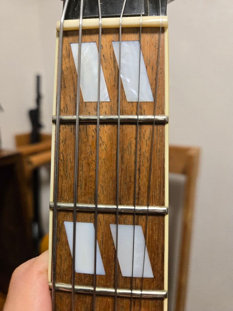 【中古】Eastman AR-175CE Antique Red