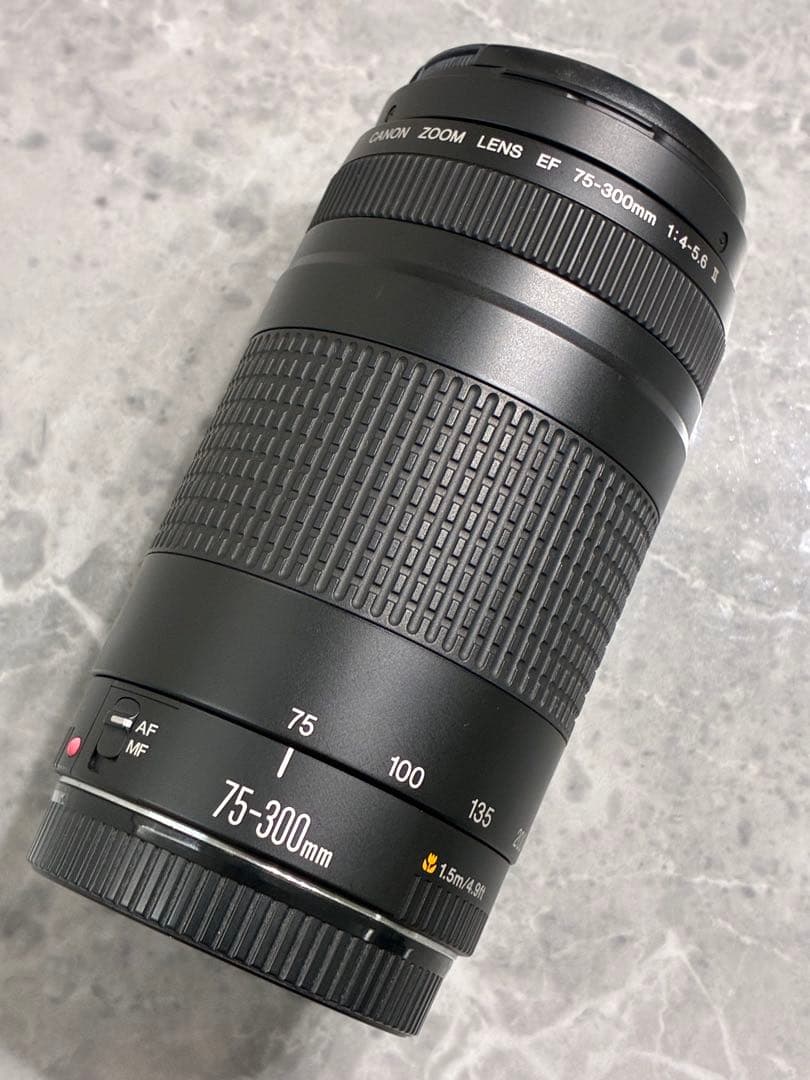 ⭐️美品⭐️キャノン Canon EF 75-300mm F/4-5.6 II 望遠