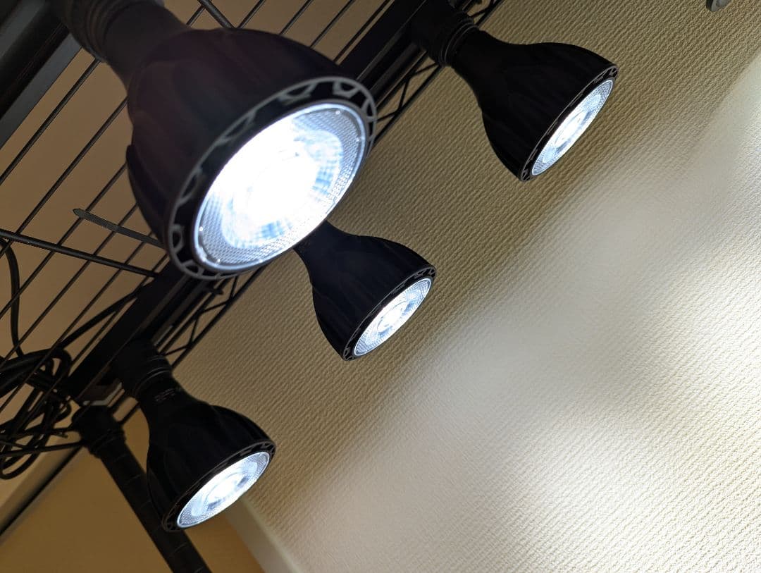 HaruDesign 植物育成ライト GL-A 6K アガベ　チタノタ　LED