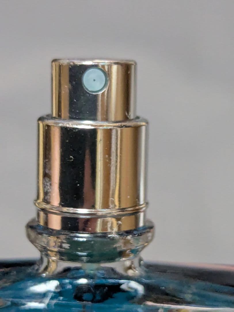 セルジュルタンスデクループールユンヌプリュール釘の果実EDP100ml