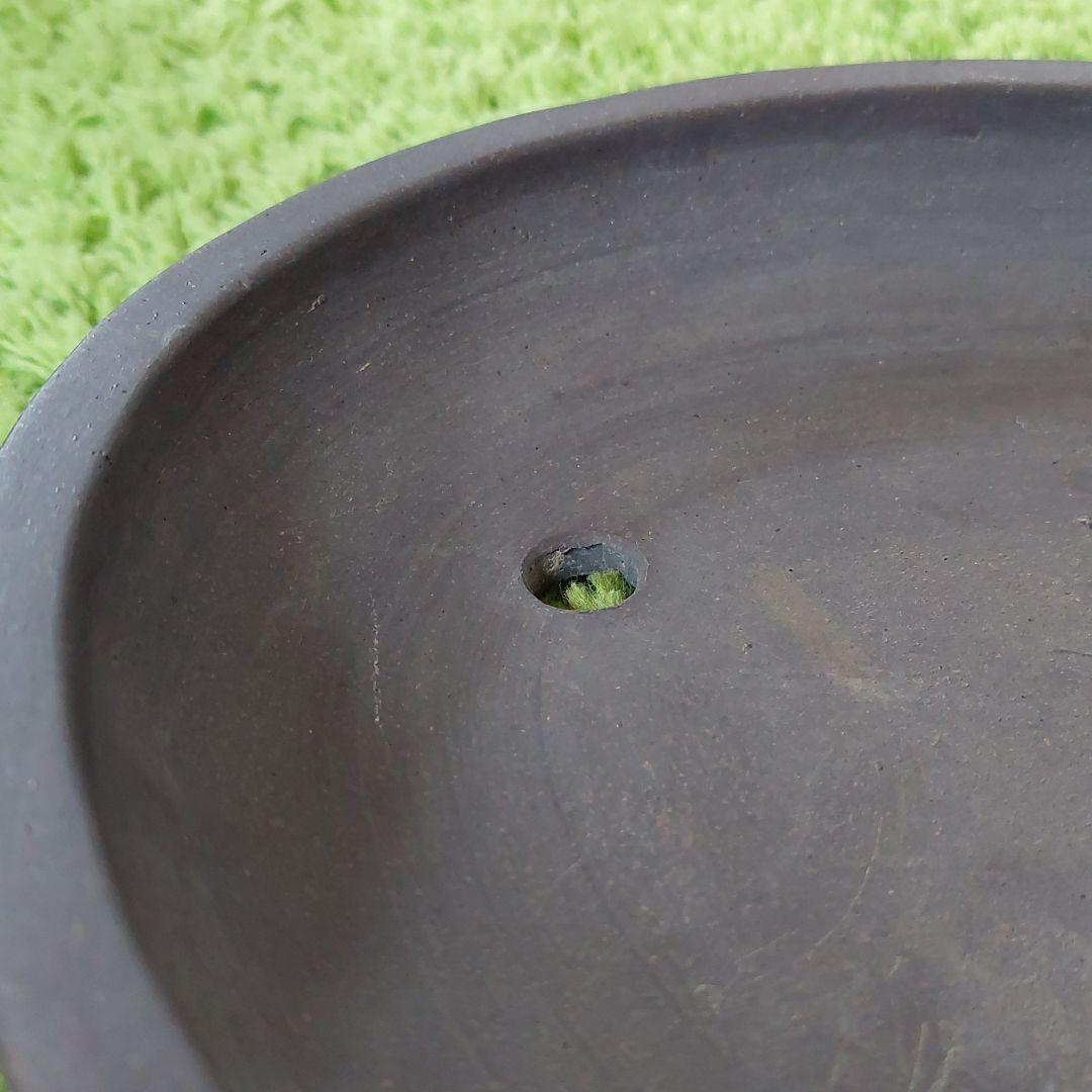 ￥2000お値下げ☆　盆栽鉢　山秋　常滑焼