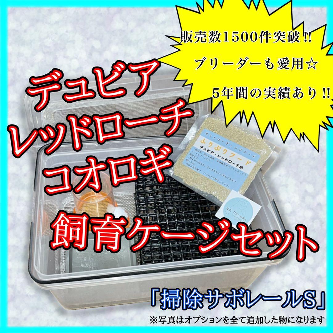 ペリー様　S (エ、シェ)