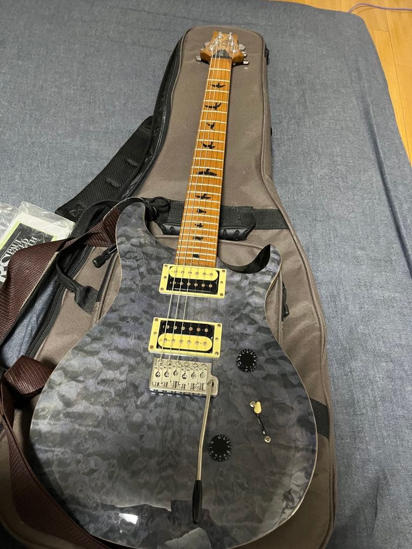 PRS SE Custom 24 ケース付