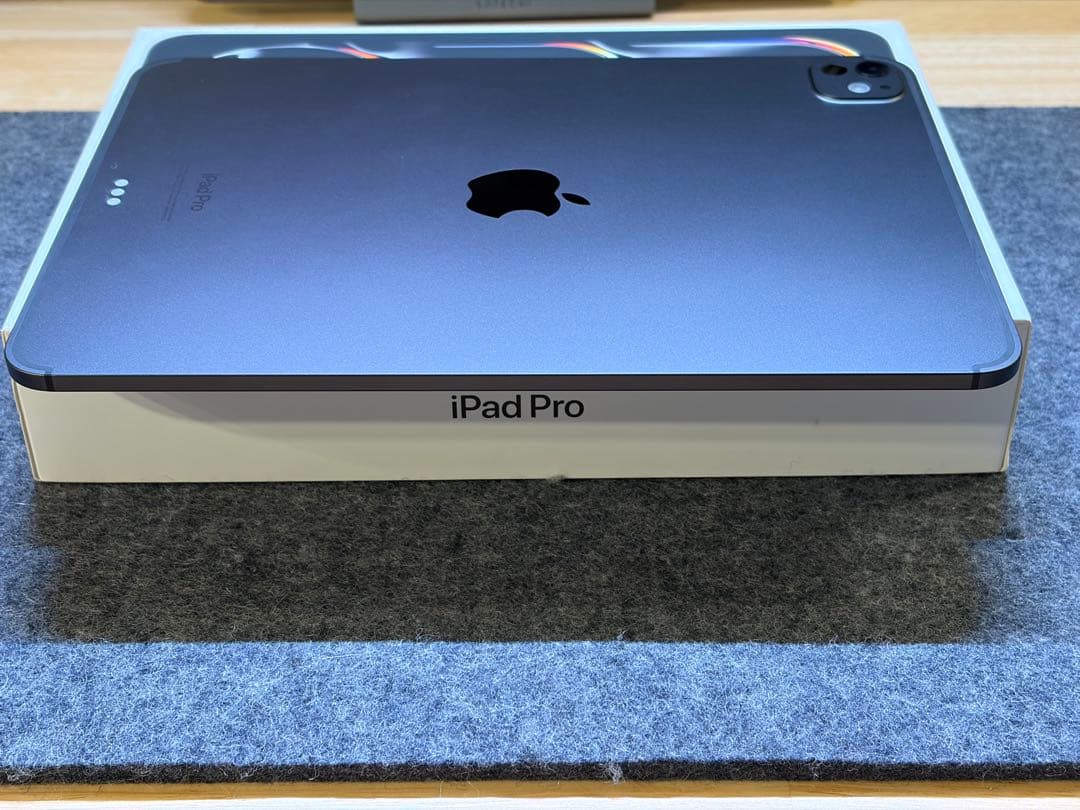 本日限定価格 保証残有 iPad Pro 11 M4 256GBセルラー