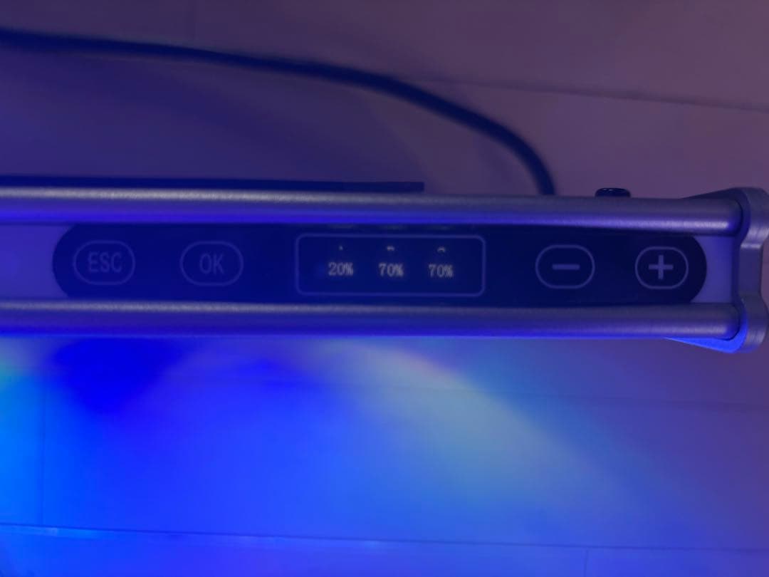 美品　ZOOX　レブロン60