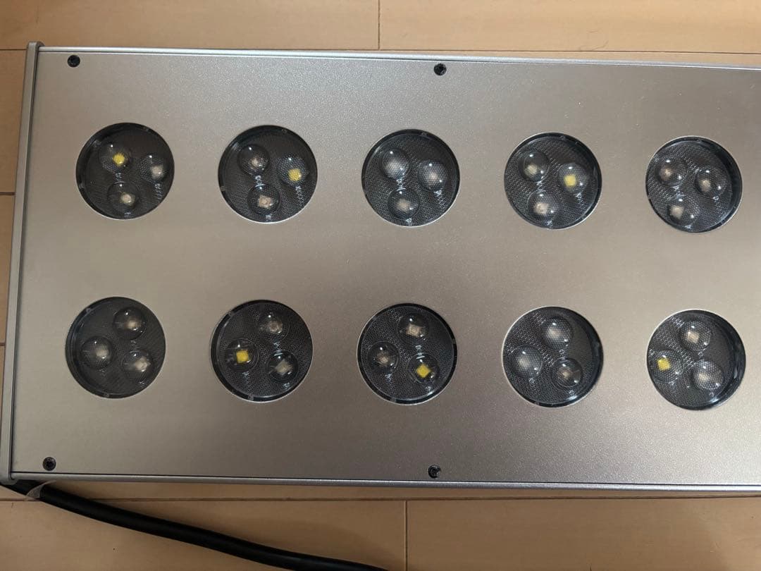 美品　ZOOX　レブロン60