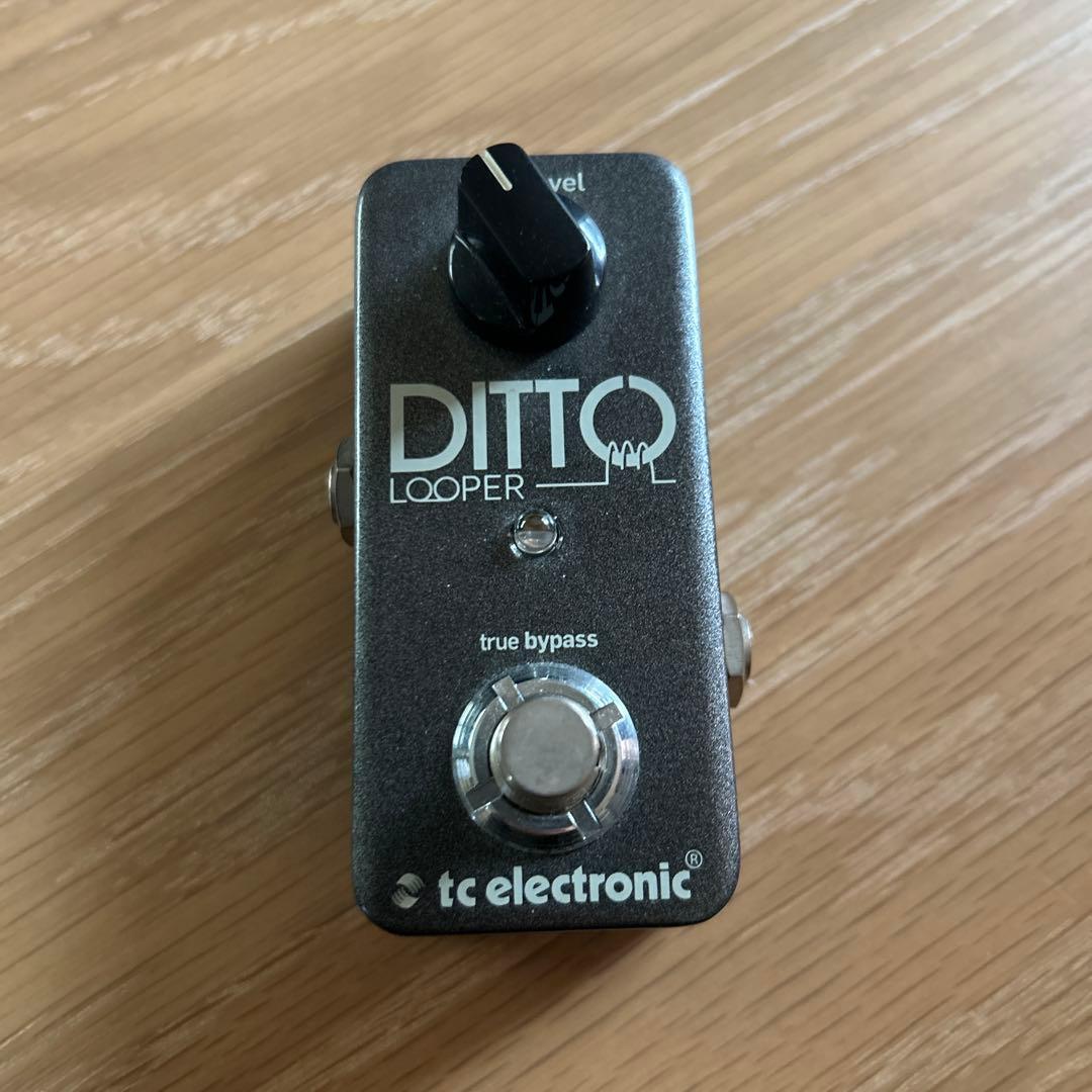 TC ELECTRONIC Ditto Looper ルーパー