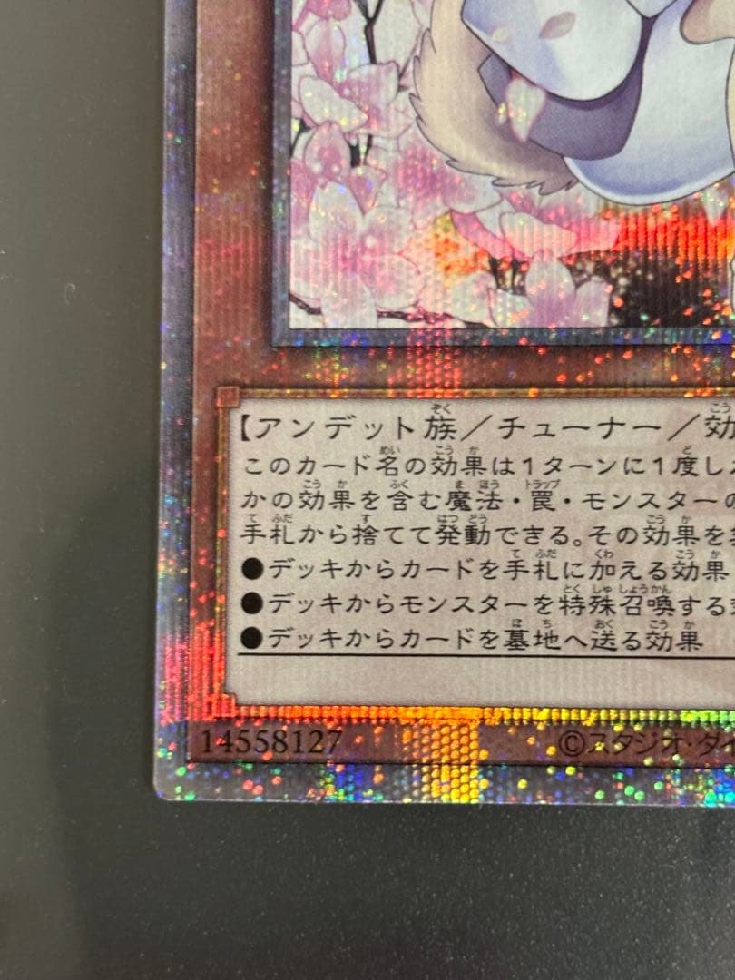 遊戯王OCG 灰流うらら　絵違い　25th シークレットレア　1枚