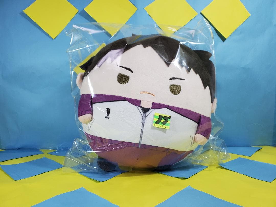 ハイキュー!! ふわコロりんBIG9 Msize9 牛島 若利 ジャージver.