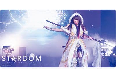 STARDOM ラバーマットコレクション&スリーブ 13点セット