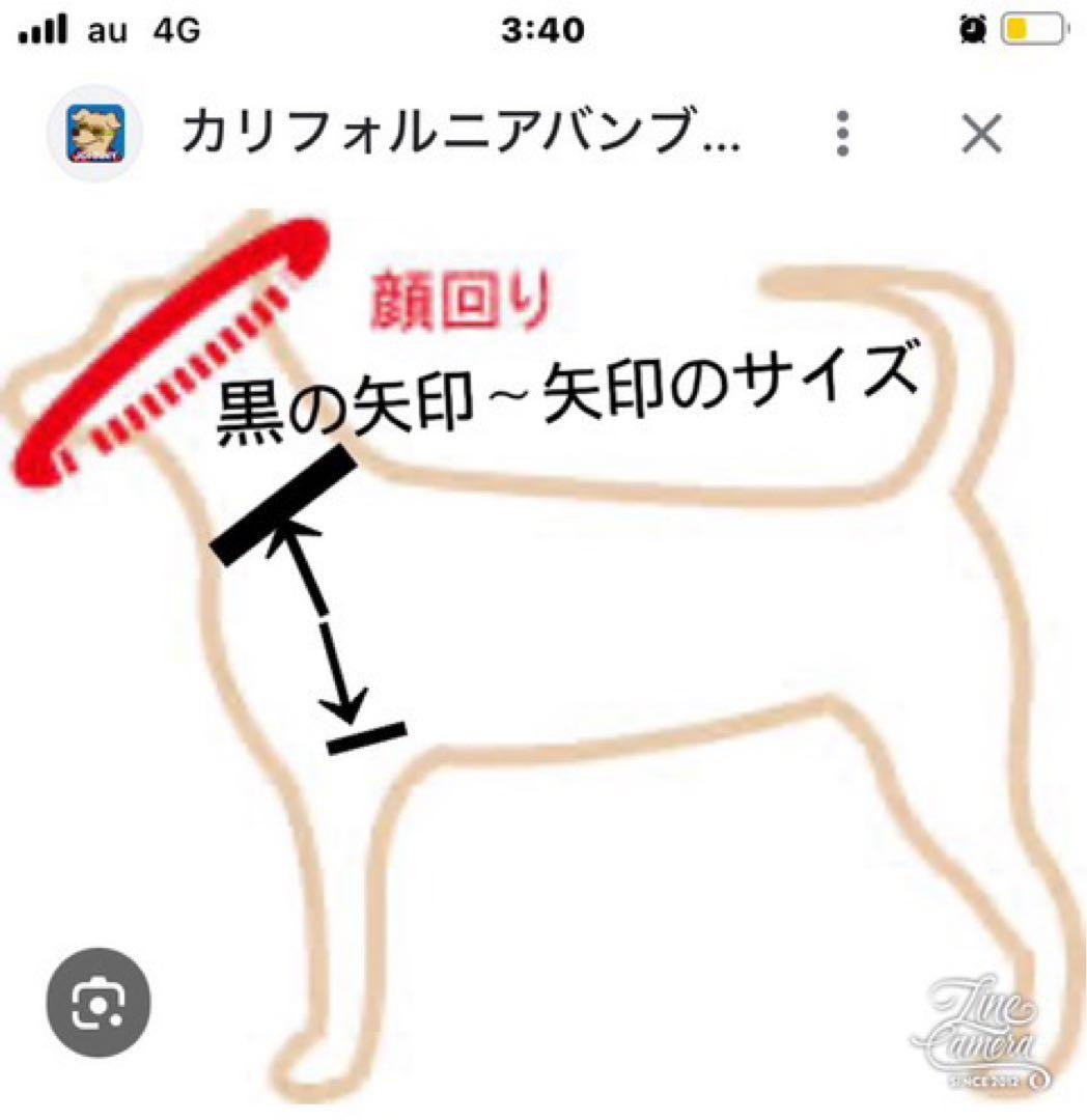 B409.pon2pan2☆オーダー☆犬お着物