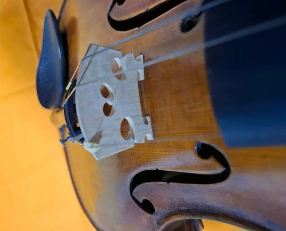 (エンリスク チェルティー 裏板のみ制作)のバイオリン