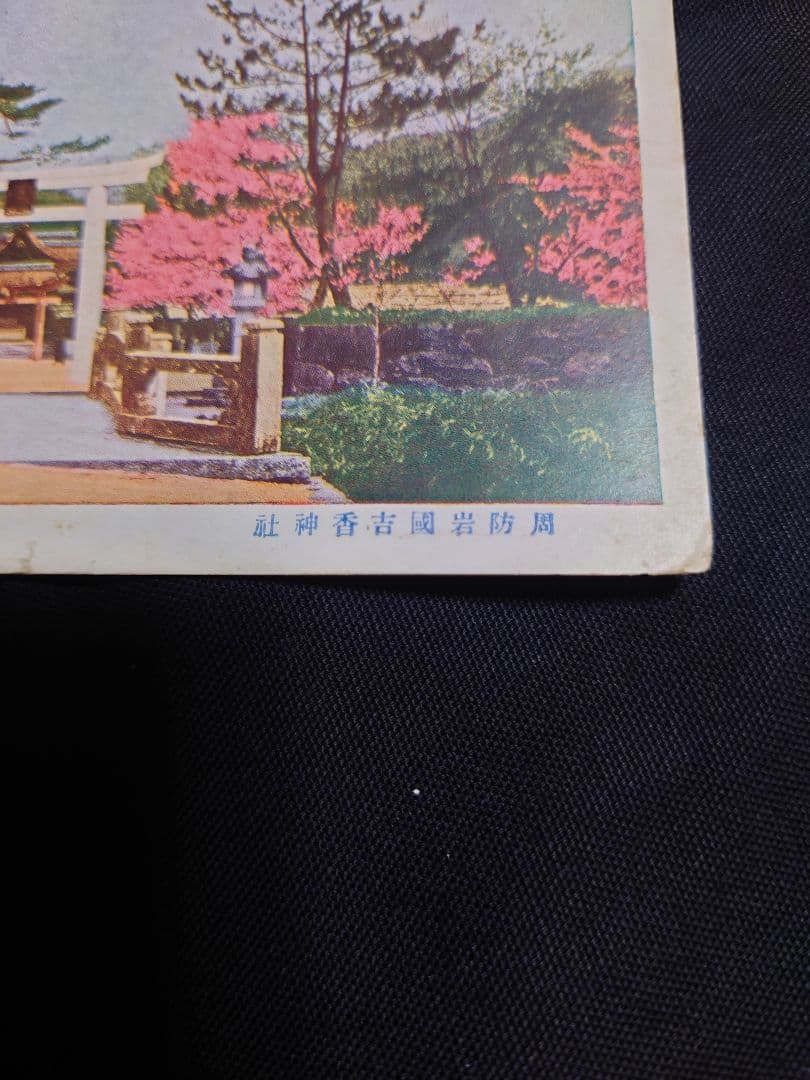年代物！　【周防岩國吉香神社 絵葉書】