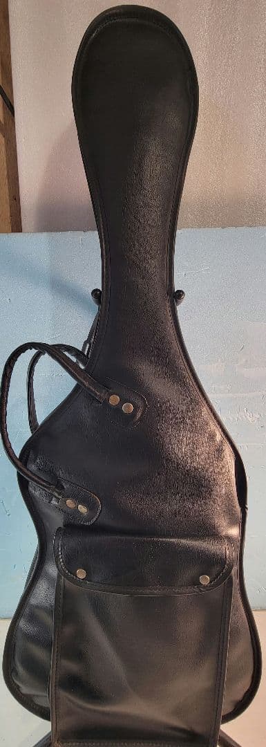 S.G. Galan ブラックレスポールタイプエレキギターソフトケース付