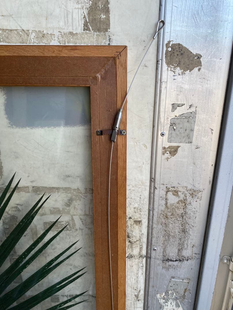 【希少＊限定品】jardin pamplemousse 植物アート 木製フレーム