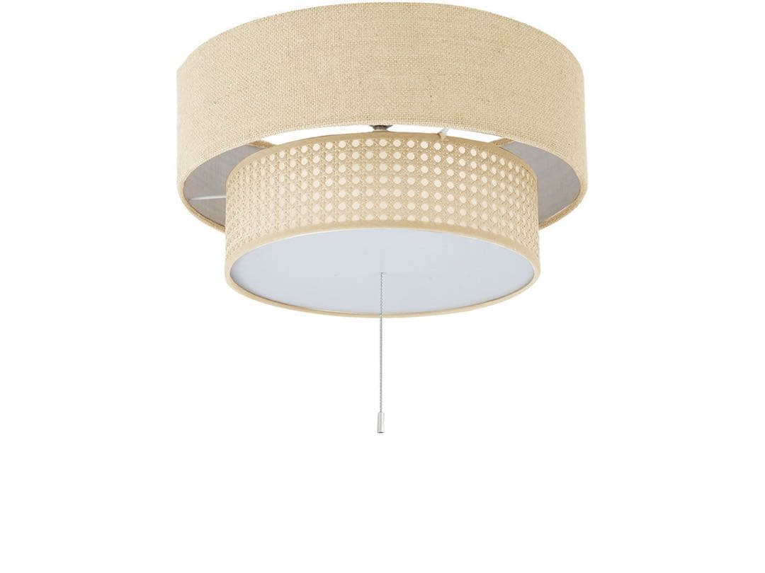 リーデン 2 シーリングランプ