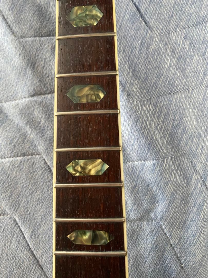 JAGARD VF600(VP60) バイオリンシェイブギター