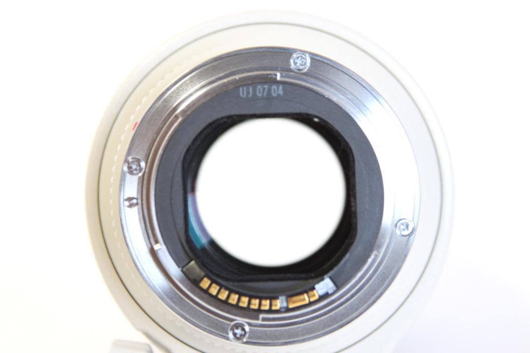 Canon EF 70-200mm F2.8 L USM　キャノン