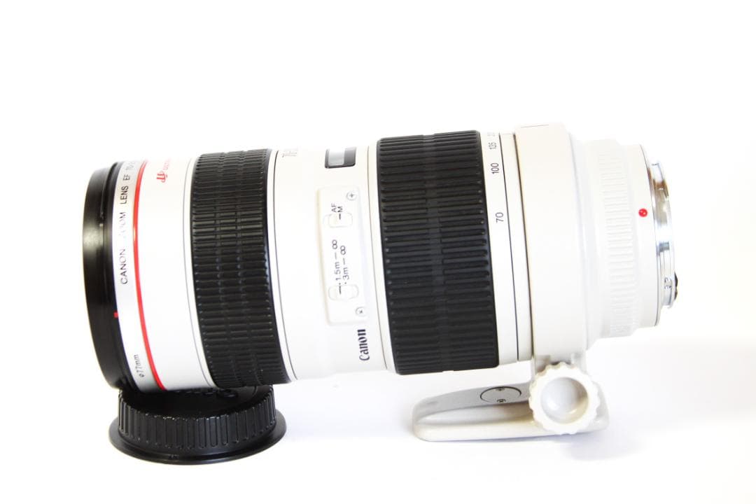 Canon EF 70-200mm F2.8 L USM　キャノン