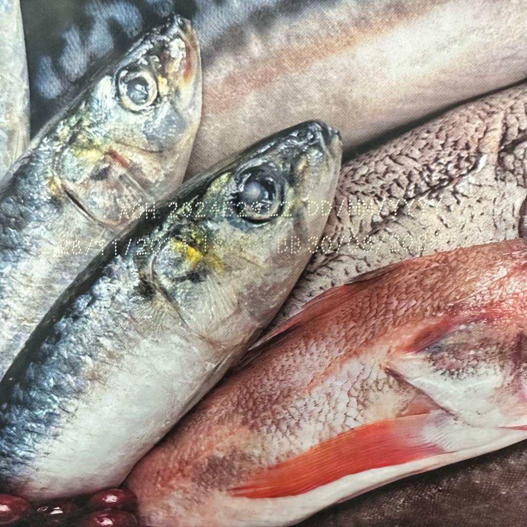 Orijen カナダ産 オリジンシックスフィッシュドッグ6kg プレミアムフード