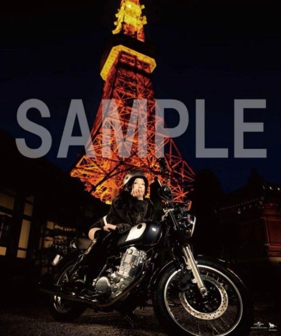 椎名林檎 限定 特典 ポスター 私は猫の目 グッズ