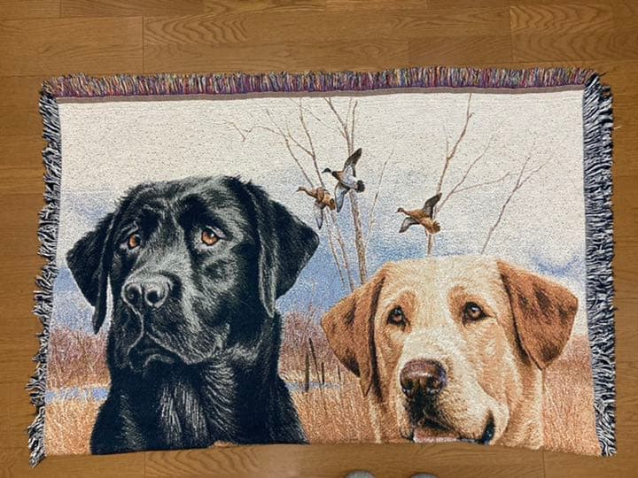【希少】ラブラドール ゴブラン織 タペストリー
