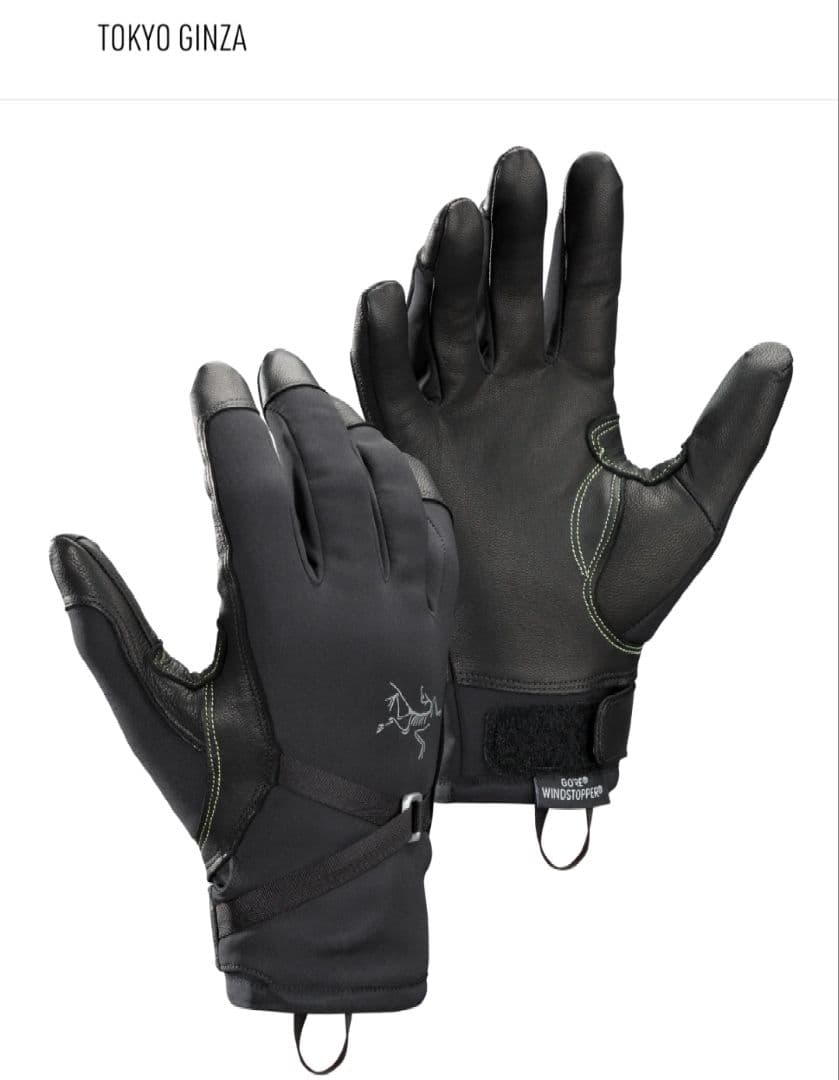 廃盤ARC’TERYX　アルファSLグローブ Mサイズ　BLACK