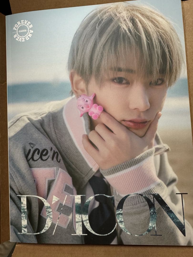 &TEAM DPARTMENT HARUA ハルア DICON 写真集