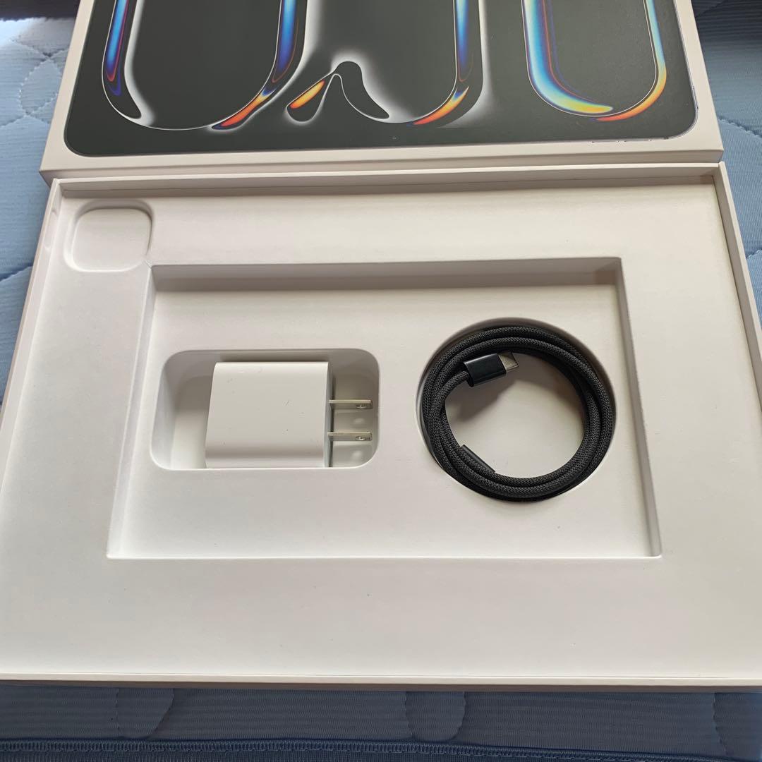 美品iPad Pro11インチ第5世代m4チップ