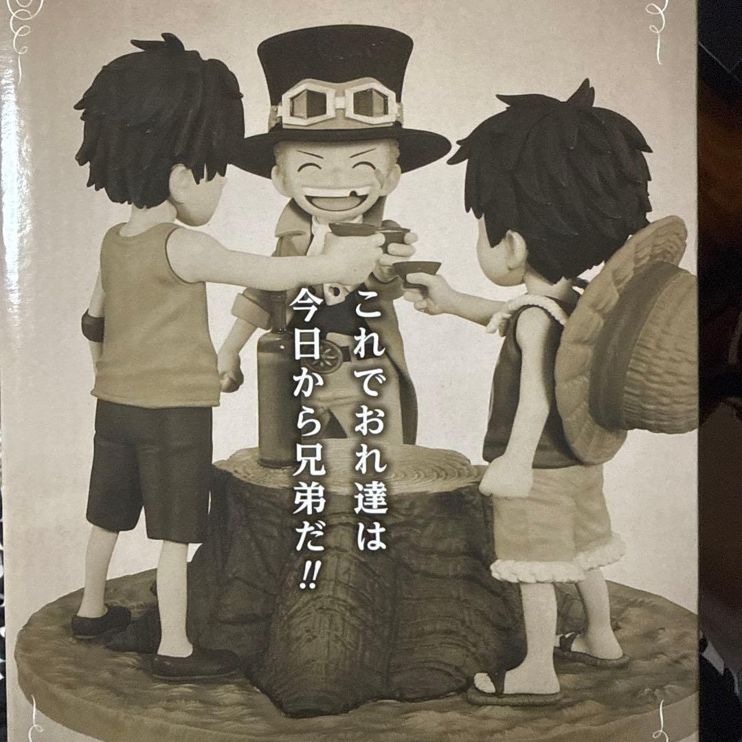 ワンピース リヴァイブルモーメント