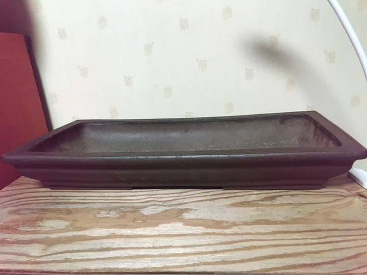 1404 盆栽　盆栽鉢　植木鉢　中国鉢　雪間