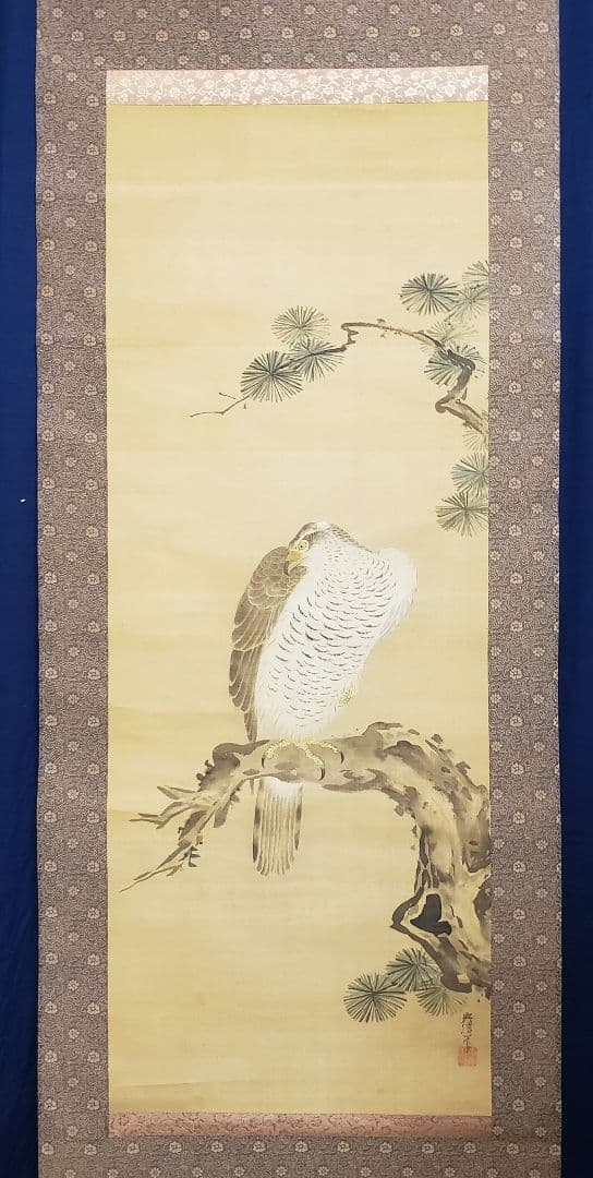 【松に鷹図】狩野栄川院典信 2580 狩野派古画　掛け軸　肉筆