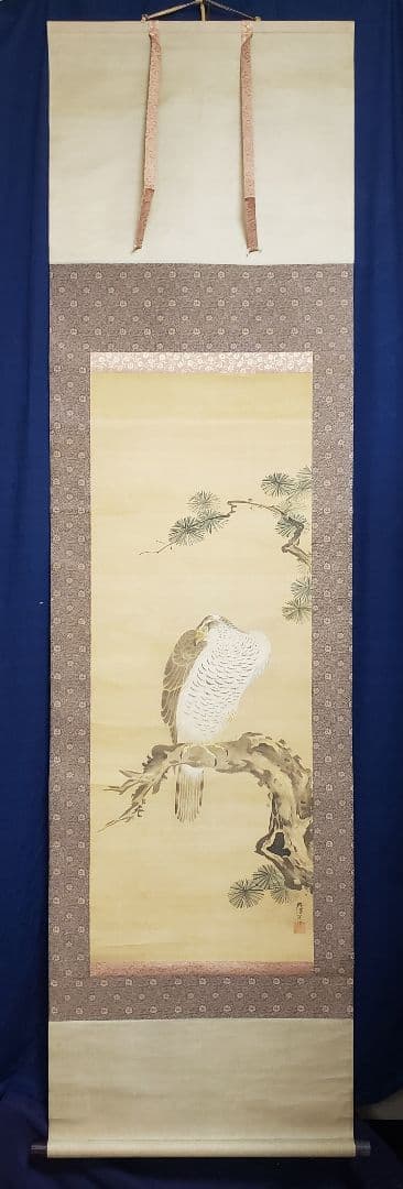 【松に鷹図】狩野栄川院典信 2580 狩野派古画　掛け軸　肉筆