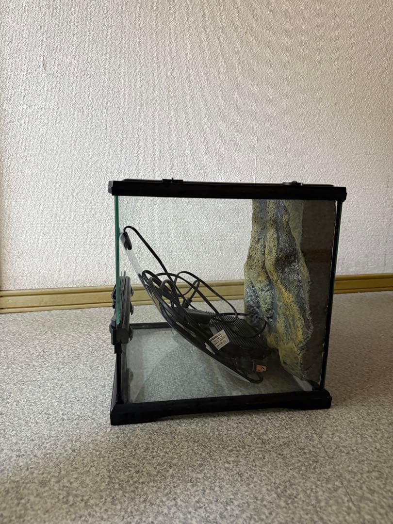 グラステラリウム3030 飼育セット