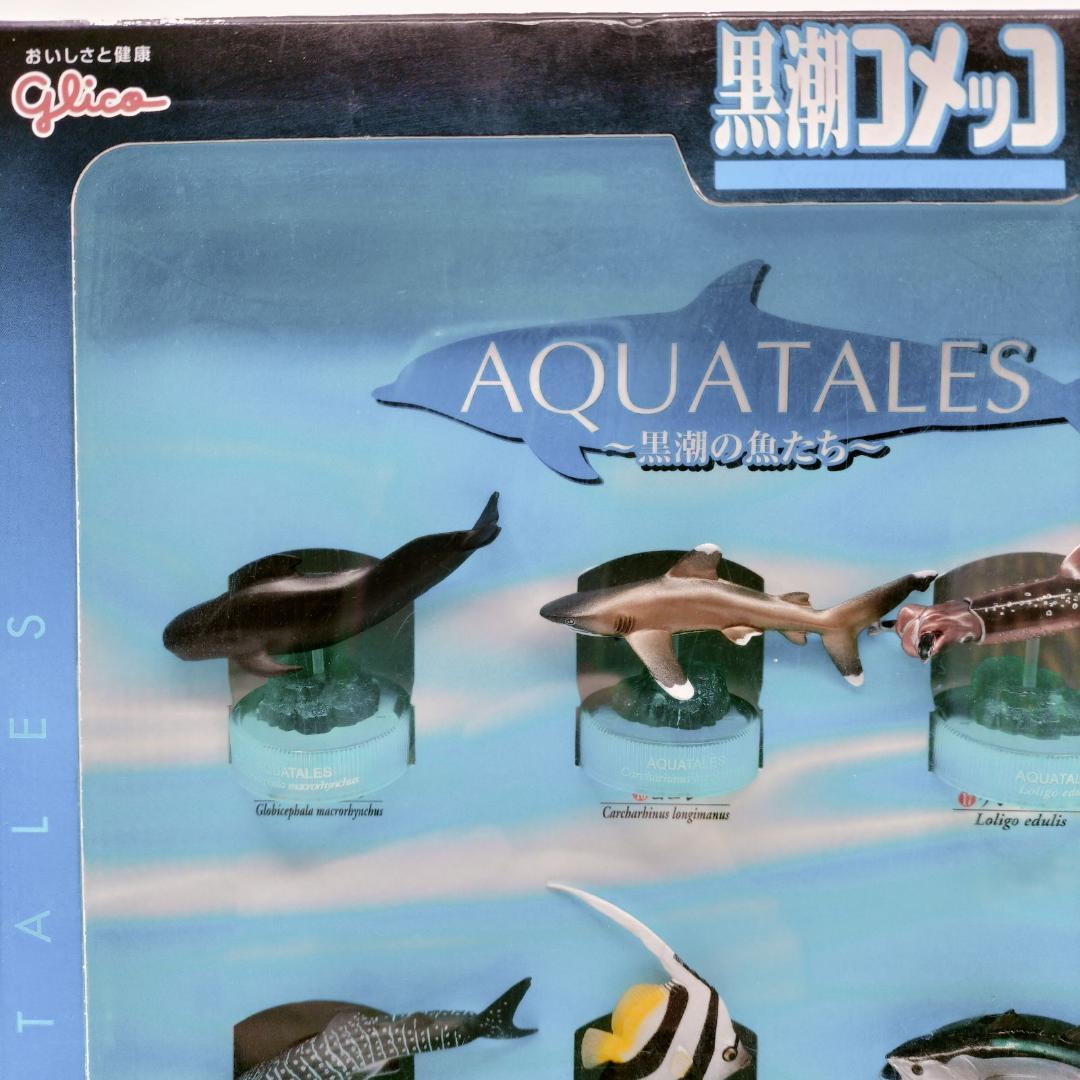 【非売品】黒潮コメッコ 第2弾 販促用 BOX アクアテイルズ フィギュア