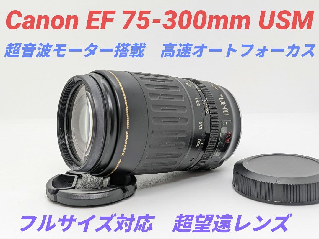 11月25日限定価格♪Canon EF 100-300mm USM