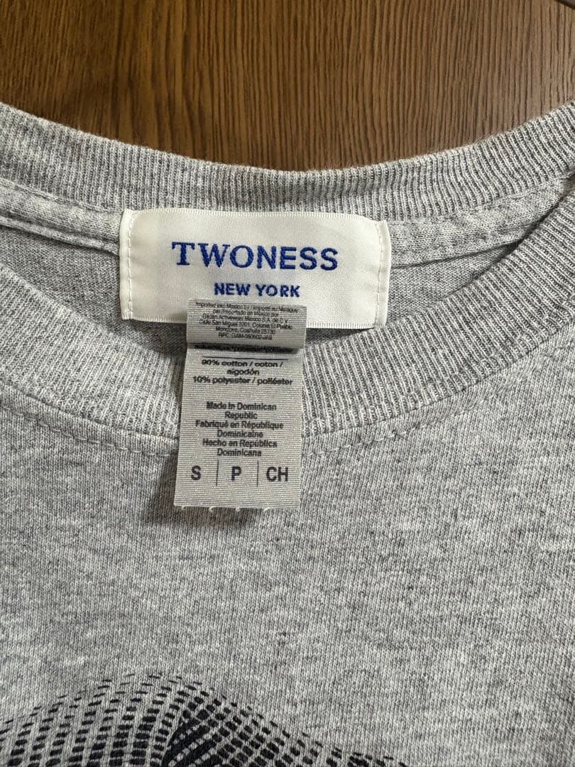 TWONESS fishmans佐藤伸治Tシャツ Sサイズ グレー