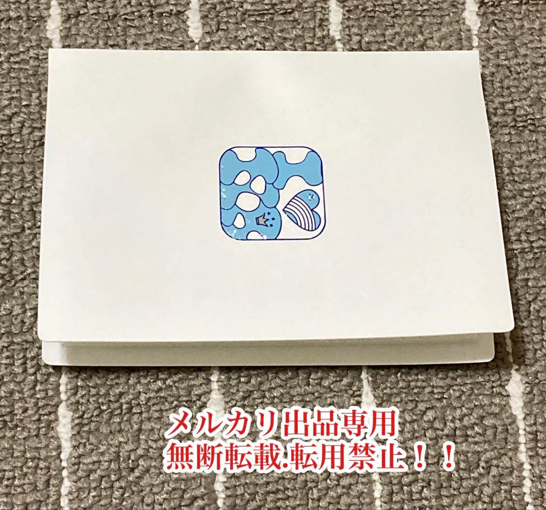 超レア　貴重　安室奈美恵 tourグッズ　 写真入れケース　安室ちゃん